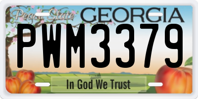 GA license plate PWM3379