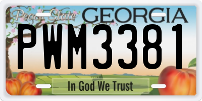 GA license plate PWM3381