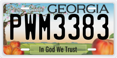 GA license plate PWM3383
