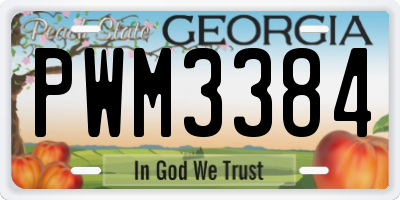 GA license plate PWM3384