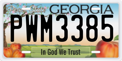 GA license plate PWM3385