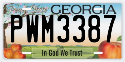GA license plate PWM3387