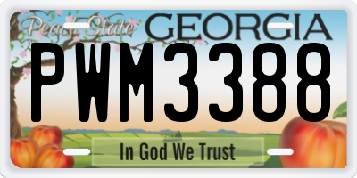 GA license plate PWM3388