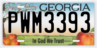 GA license plate PWM3393