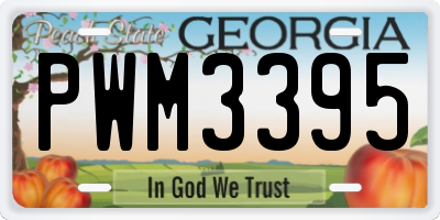 GA license plate PWM3395
