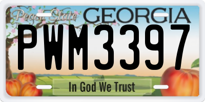 GA license plate PWM3397