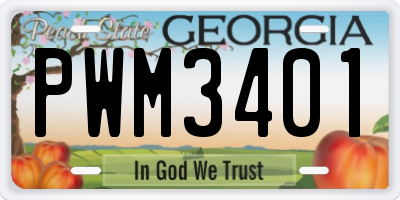 GA license plate PWM3401