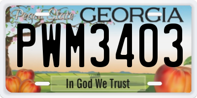 GA license plate PWM3403