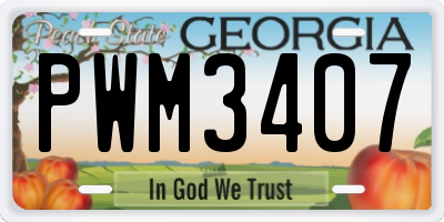 GA license plate PWM3407
