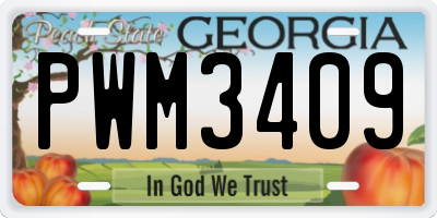 GA license plate PWM3409