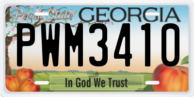 GA license plate PWM3410