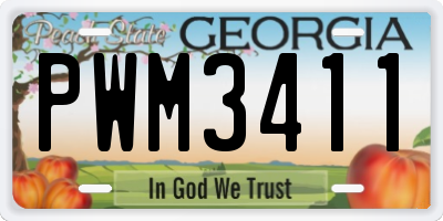 GA license plate PWM3411
