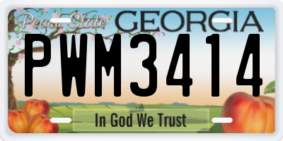 GA license plate PWM3414