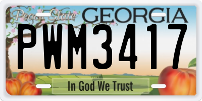 GA license plate PWM3417