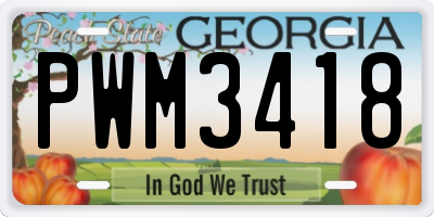GA license plate PWM3418