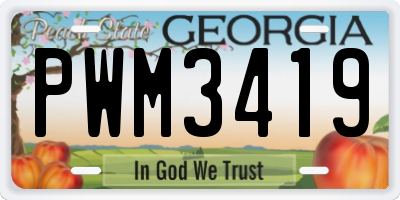 GA license plate PWM3419