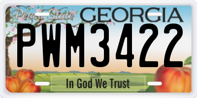 GA license plate PWM3422