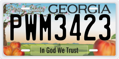 GA license plate PWM3423