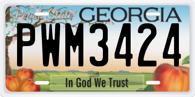 GA license plate PWM3424