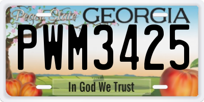 GA license plate PWM3425
