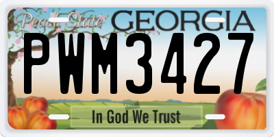 GA license plate PWM3427