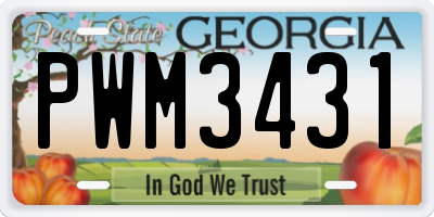 GA license plate PWM3431