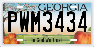 GA license plate PWM3434