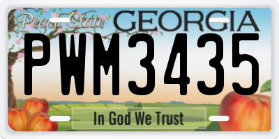 GA license plate PWM3435