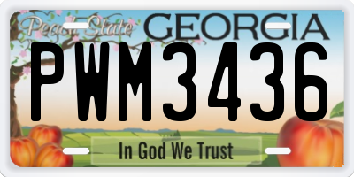 GA license plate PWM3436