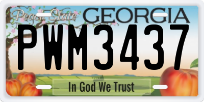 GA license plate PWM3437