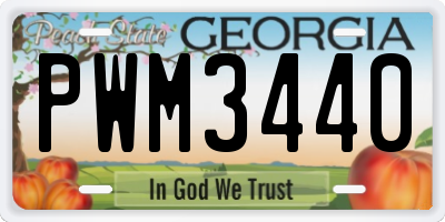 GA license plate PWM3440