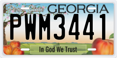 GA license plate PWM3441