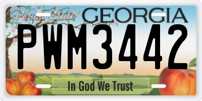 GA license plate PWM3442