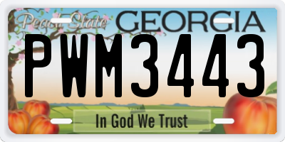 GA license plate PWM3443
