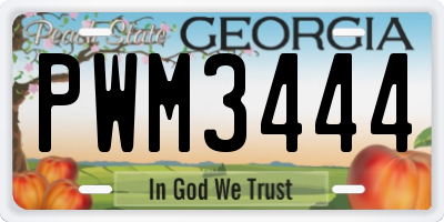 GA license plate PWM3444