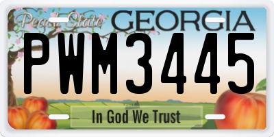 GA license plate PWM3445