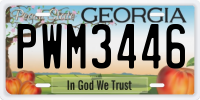GA license plate PWM3446