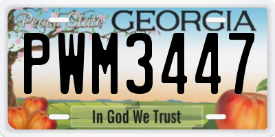 GA license plate PWM3447