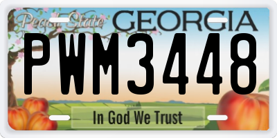GA license plate PWM3448