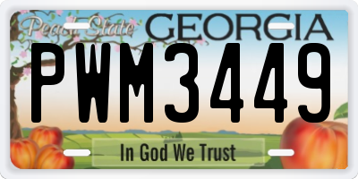 GA license plate PWM3449