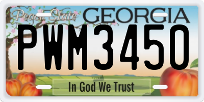 GA license plate PWM3450