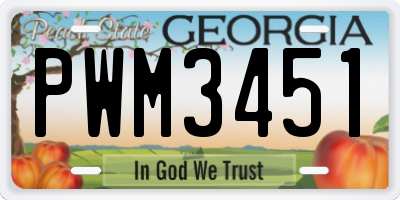 GA license plate PWM3451