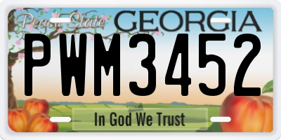 GA license plate PWM3452