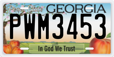 GA license plate PWM3453