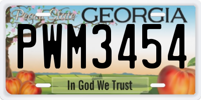 GA license plate PWM3454
