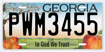GA license plate PWM3455