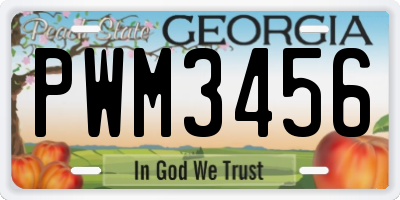 GA license plate PWM3456