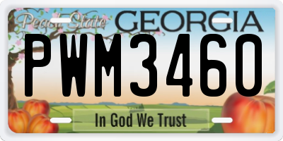 GA license plate PWM3460