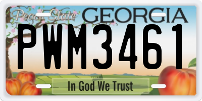 GA license plate PWM3461