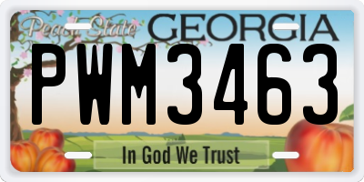 GA license plate PWM3463